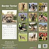 Border Terrier Calendar